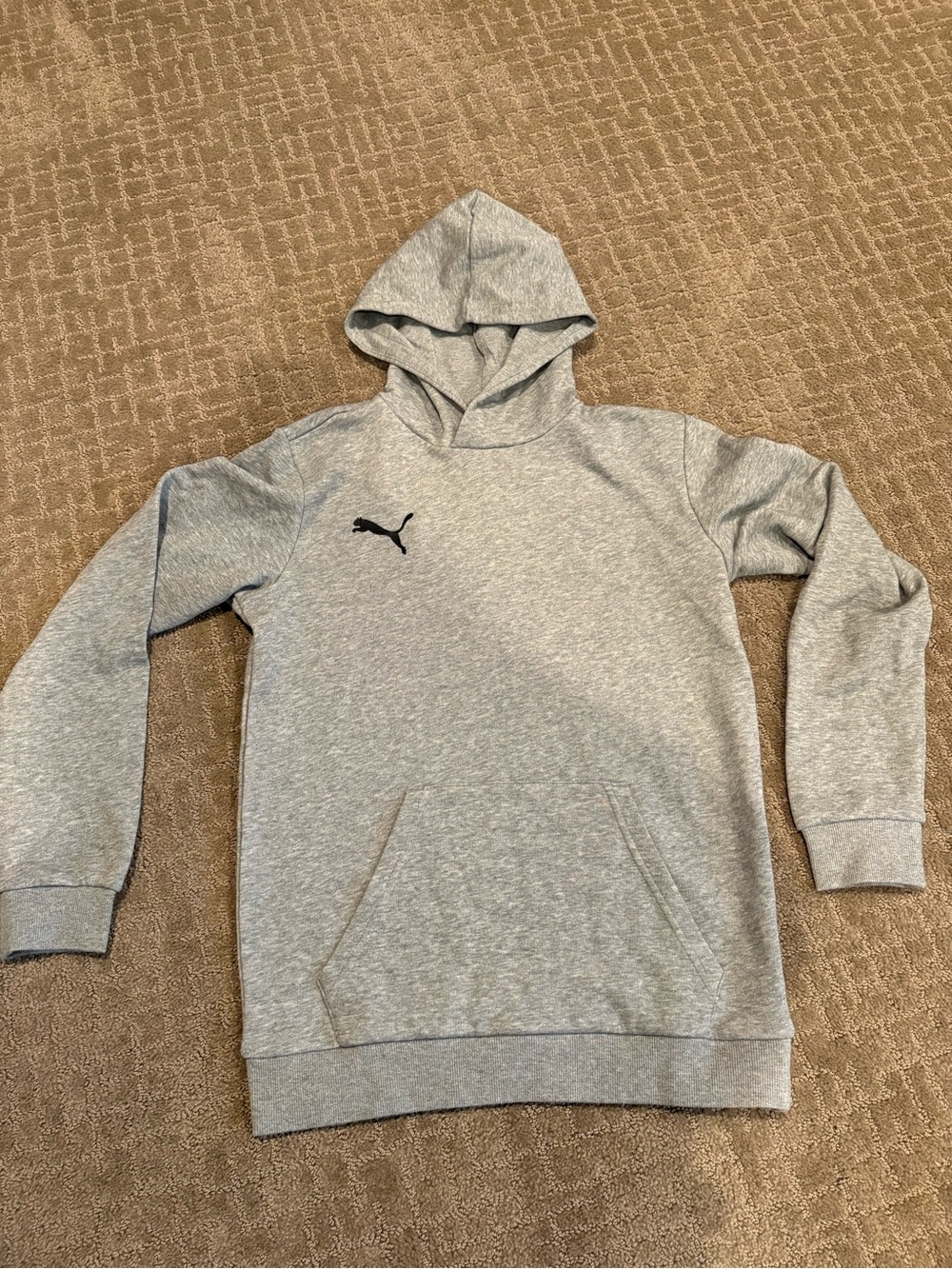 Puma Light Grey Pullover Hoodie with Black Logo